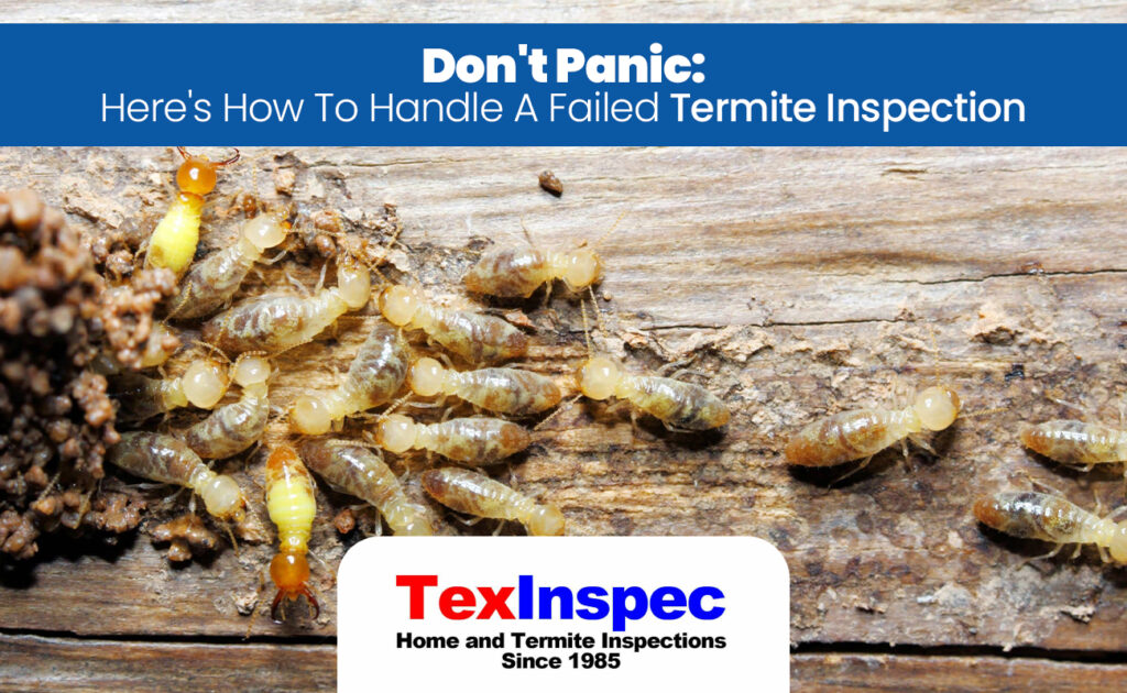 failed termite inspection va loan