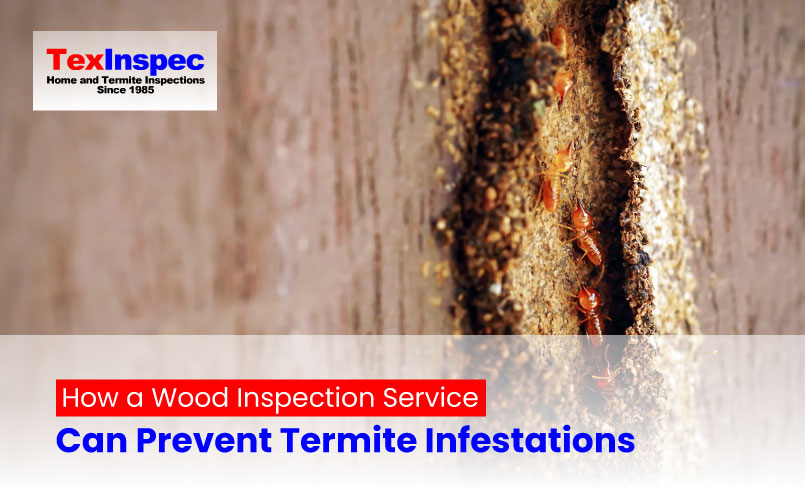 Wood Inspection Services