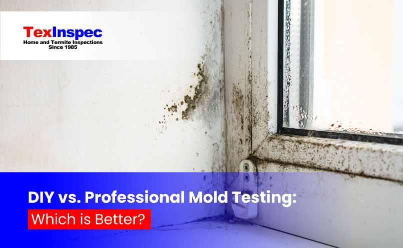 Mold Inspection in Fort Worth