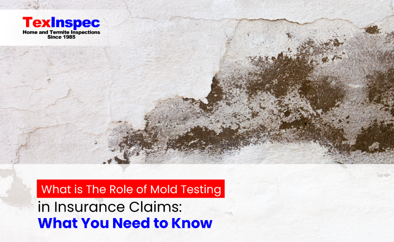 mold testing in Fort Worth