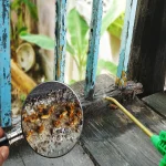 How Termites Can Damage Your Home and Why Inspections Matter
